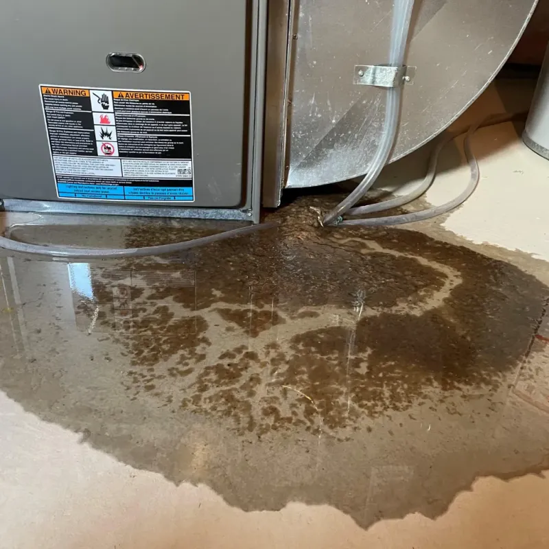 Appliance Leak Cleanup in Cowpens, SC